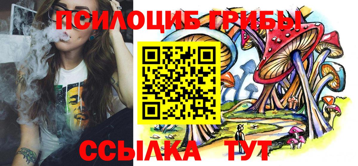 Галлюциногенные грибы MAGIC MUSHROOMS  Вход с VPN  наркошоп  Гудермес 