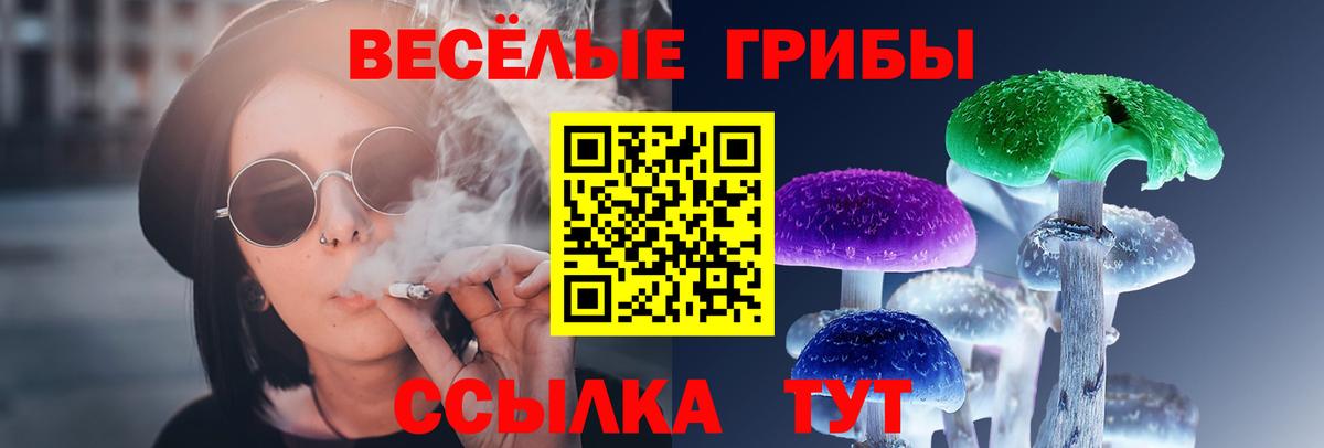 Галлюциногенные грибы GOLDEN TEACHER Гудермес